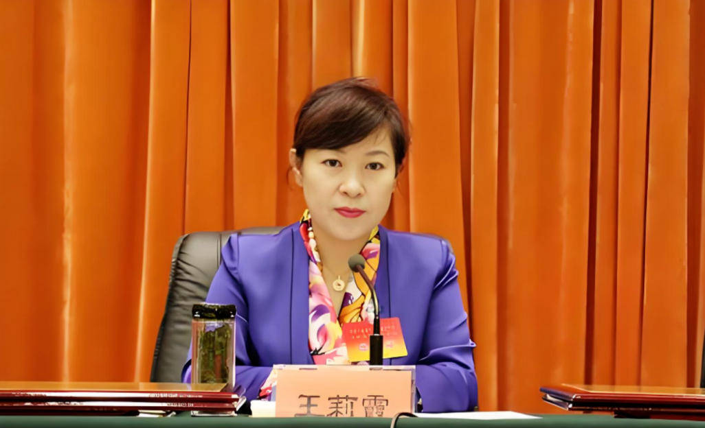 艾里斯vs阿波罗利马素尔
_“换装主席”王莉霞的堕落:从光鲜人设到腐败深渊