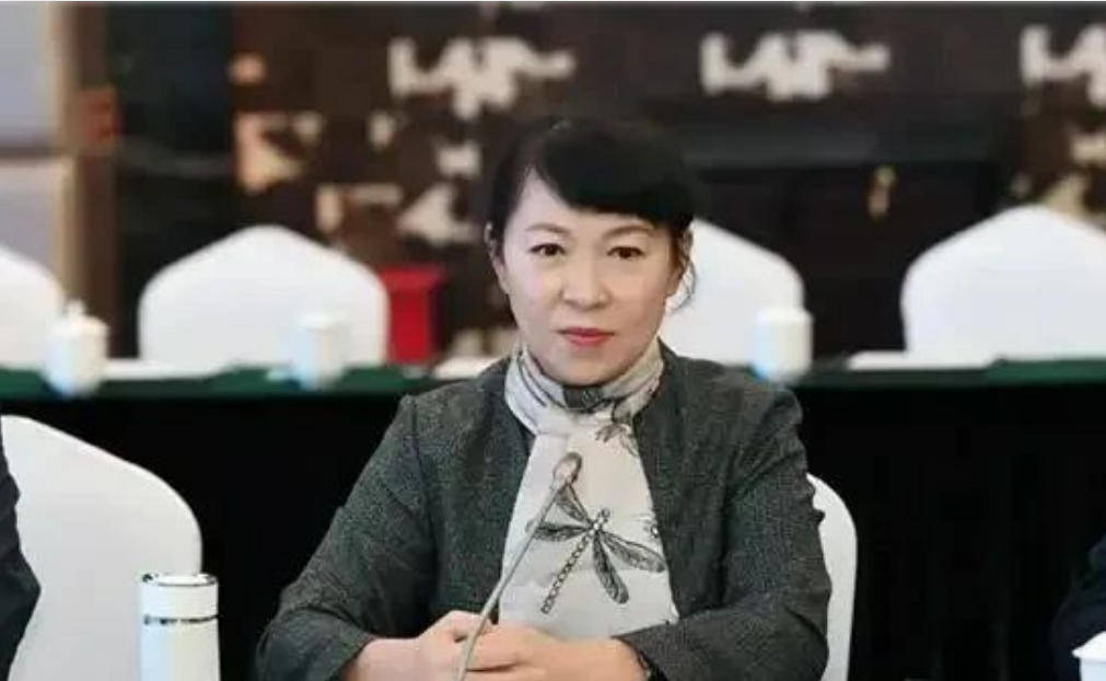 艾里斯vs阿波罗利马素尔
_“换装主席”王莉霞的堕落:从光鲜人设到腐败深渊