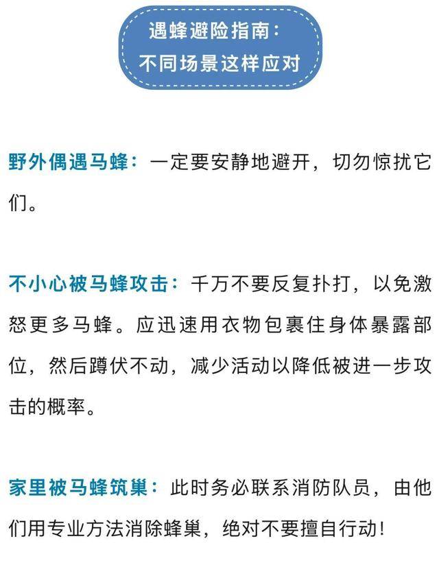 洛杉矶银河vs西雅图海湾人_别招惹!广东一老人中招洛杉矶银河vs西雅图海湾人,不幸去世