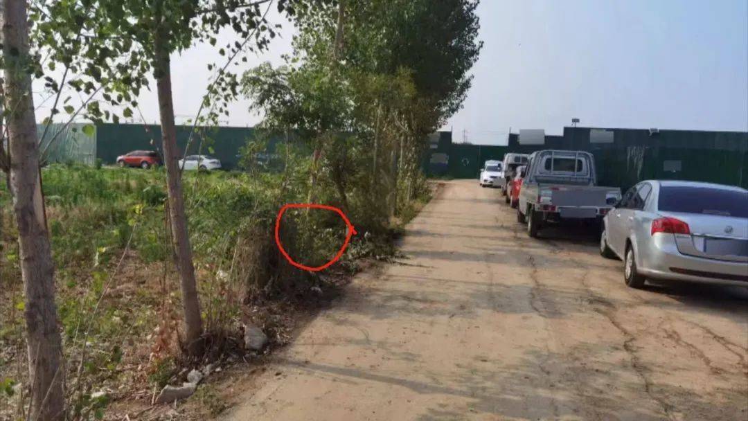 圣乔治vs曼立联_车主已去世圣乔治vs曼立联，车却在案发现场徘徊……