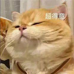 乌米亚vs奥迪沃德_广西男子一口气花38.8万元买了40台手机乌米亚vs奥迪沃德，民警很快找上门……