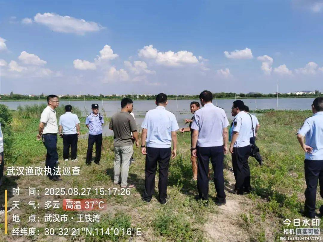 皇冠信用网需要押金吗_武汉发现5条鳄鱼皇冠信用网需要押金吗,已“落网”!系人为放生