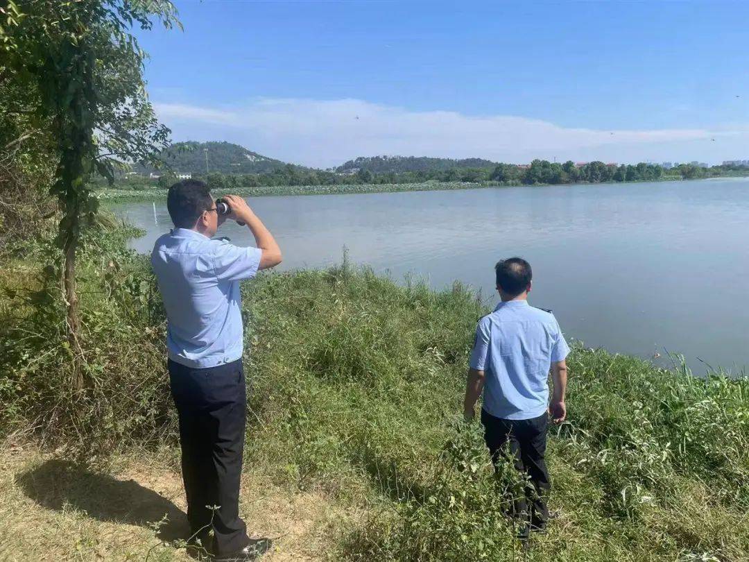 皇冠信用网需要押金吗_武汉发现5条鳄鱼皇冠信用网需要押金吗,已“落网”!系人为放生