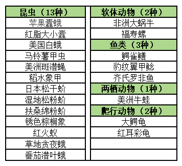 皇冠信用网需要押金吗_武汉发现5条鳄鱼皇冠信用网需要押金吗,已“落网”!系人为放生