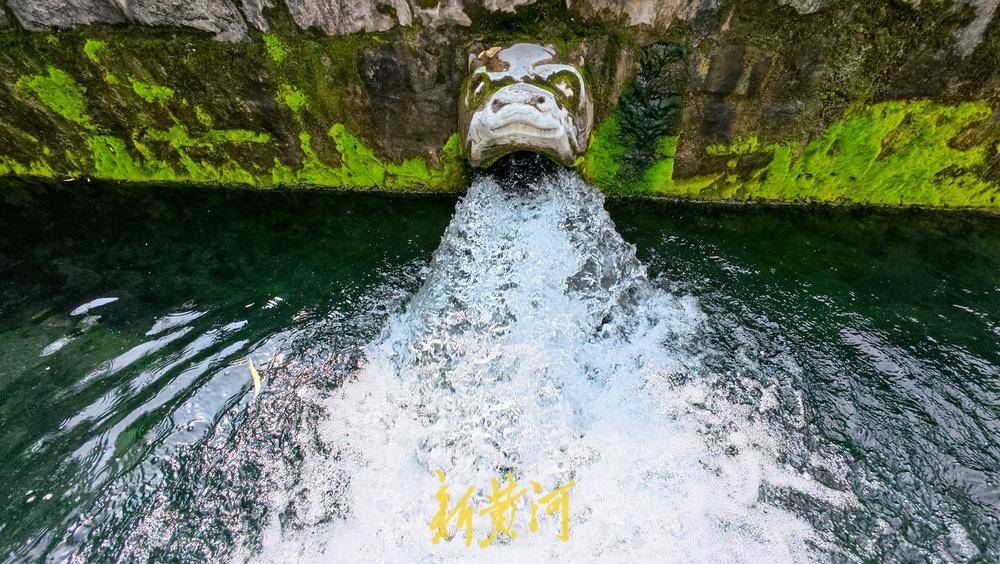 波多黎各职业女子篮球联赛_喷涌势头旺盛波多黎各职业女子篮球联赛,济南黑虎泉将迎恢复喷涌22周年