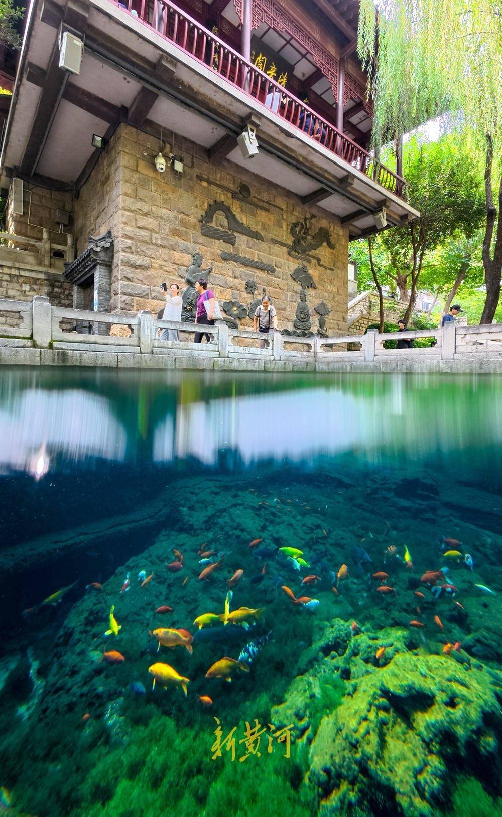 波多黎各职业女子篮球联赛_喷涌势头旺盛波多黎各职业女子篮球联赛,济南黑虎泉将迎恢复喷涌22周年