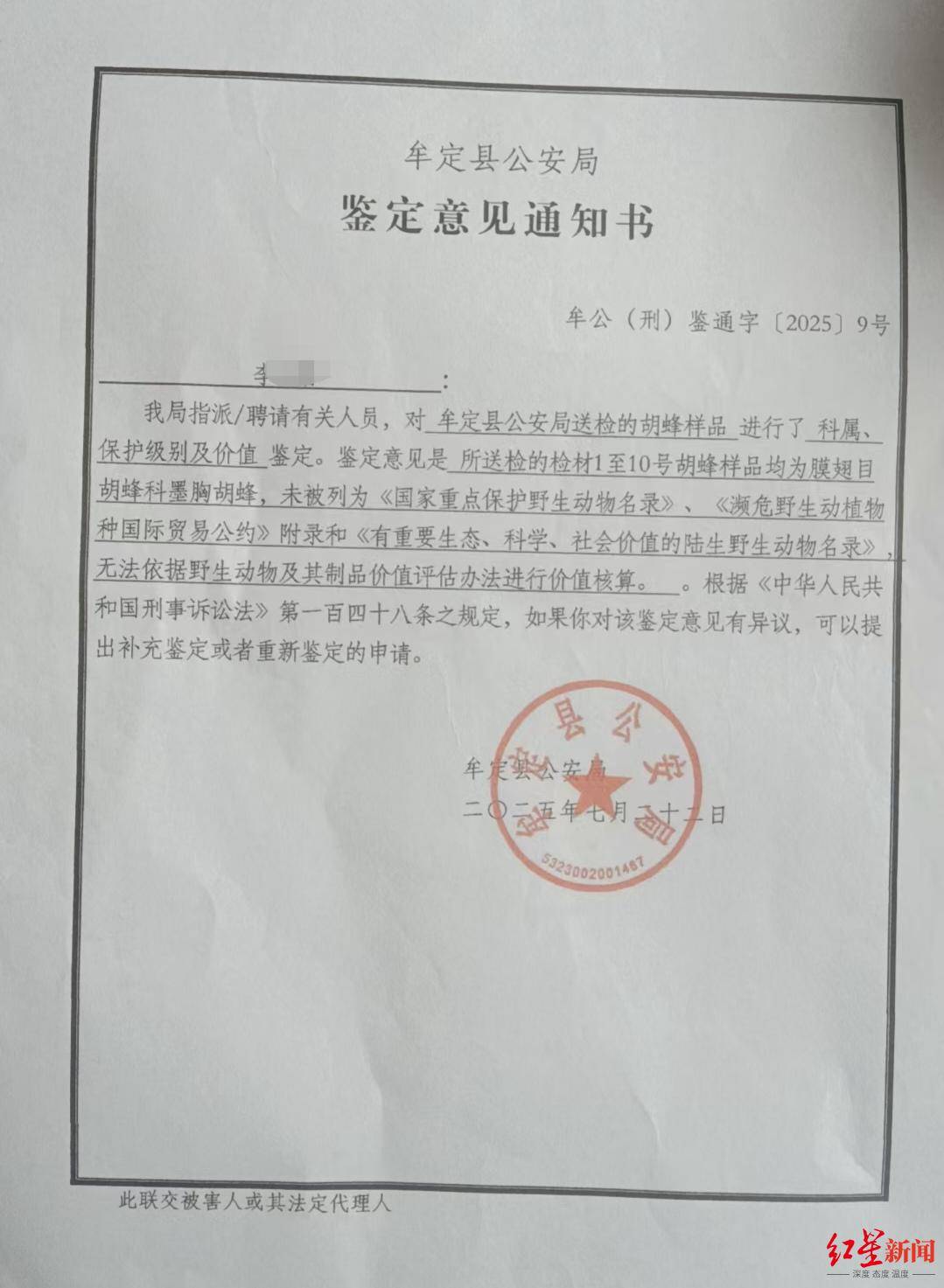世界杯足球赛程_两儿童遭蜂群蜇伤身亡世界杯足球赛程,养蜂人涉过失致人死亡被立案!胡蜂养殖监管存模糊地带