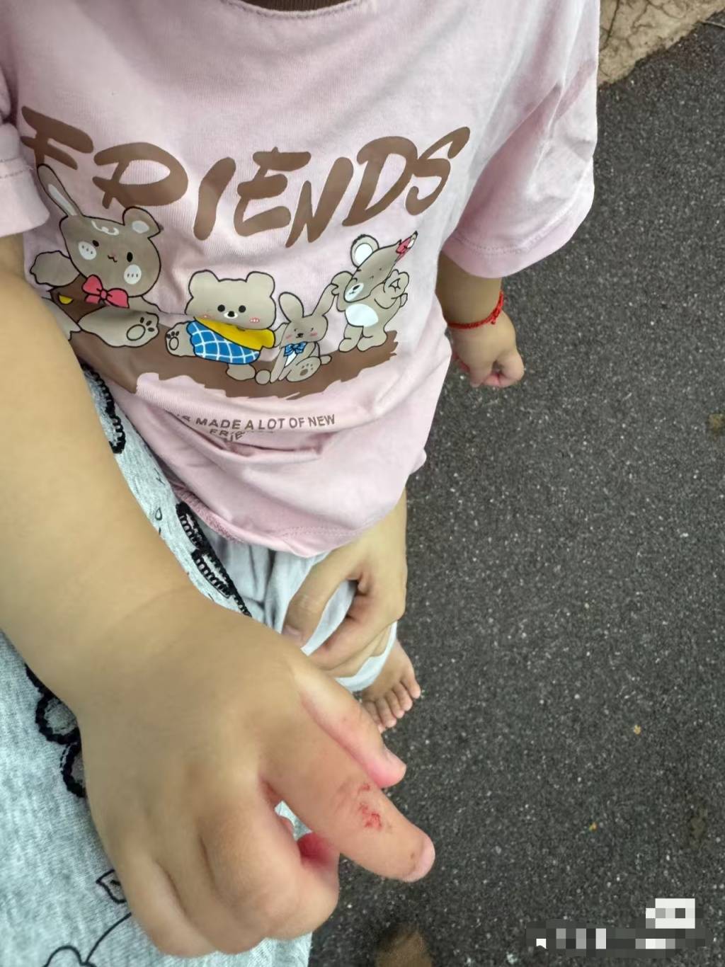 信用网如何申请_黑猩猩丢石头砸伤1岁幼童信用网如何申请,广州长隆回应