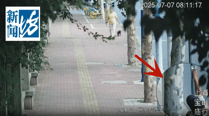 体育皇冠信用网_叶某(60岁)已被刑拘体育皇冠信用网!监控曝光…网友怒斥如此行径太恶劣