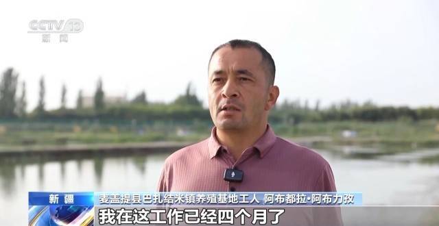 皇冠信用网址_砥砺奋进七十载 天山南北谱华章丨沙漠里养虾让百姓的日子越过越红火