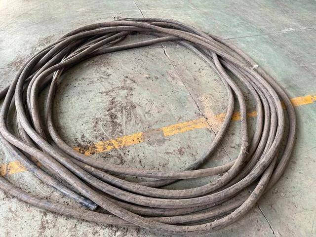 介绍个信用網网址_凌晨的夜色中介绍个信用網网址,临沂一男子竟把它剪成一截一截...