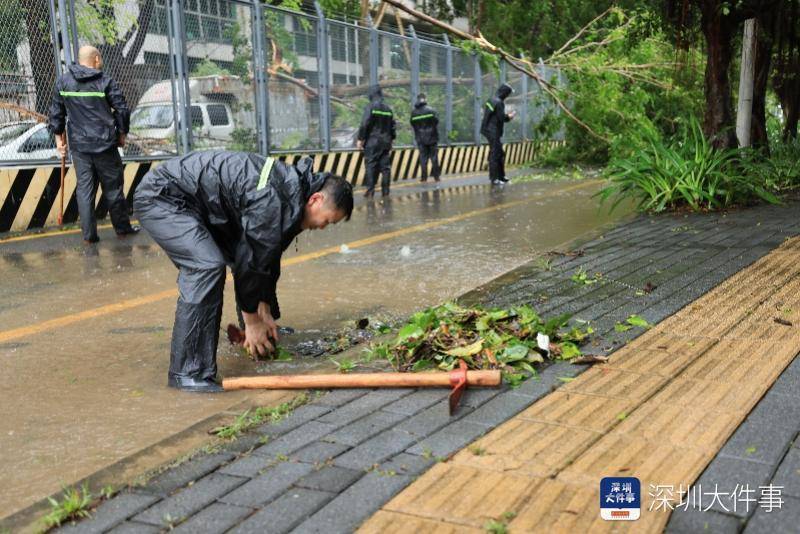 皇冠信用开户_从“山竹”开始皇冠信用开户,深圳这家企业每遇台风都组织员工排险清障