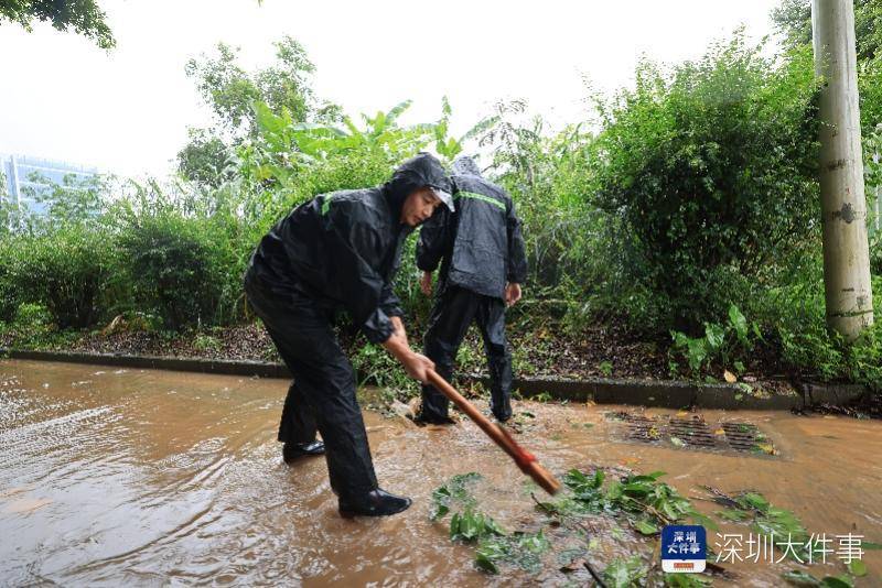 皇冠信用开户_从“山竹”开始皇冠信用开户,深圳这家企业每遇台风都组织员工排险清障