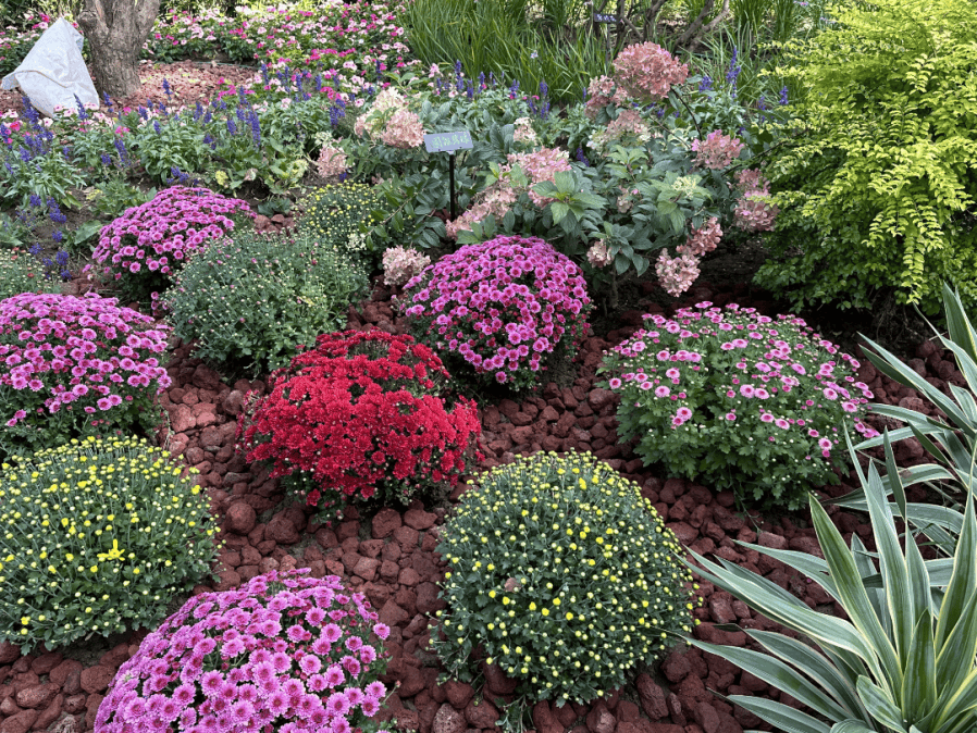 皇冠信用盘平台_本周六将迎阵雨;北京最大山姆会员店即将开业;北京最大公园来啦丨朝闻北京