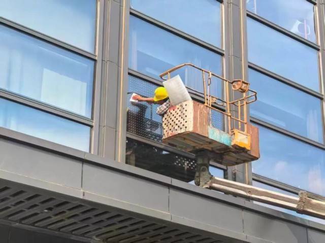 介绍个皇冠信用盘网址_北京一座大厦楼下躺了14只鸟介绍个皇冠信用盘网址,12只已死亡!元凶竟是玻璃