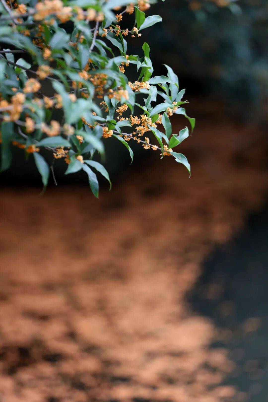 皇冠信用网在线申请_进度达70%！杭州即将进入全盛期皇冠信用网在线申请，别错过！