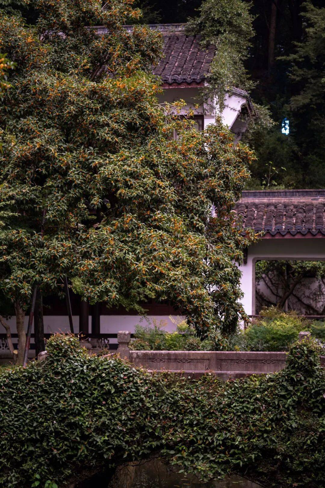 皇冠信用网在线申请_进度达70%！杭州即将进入全盛期皇冠信用网在线申请，别错过！