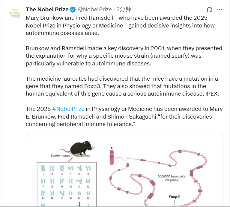 皇冠信用网如何申请_2025诺贝尔医学奖揭晓：表彰“关于外周免疫耐受的发现”皇冠信用网如何申请，三位科学家共享殊荣