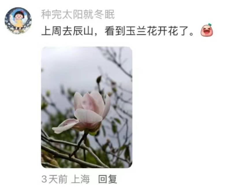 皇冠信用网登123出租_上海:节后气温将冲高至33℃!今夏已长达150天皇冠信用网登123出租,玉兰蔷薇樱花荷花全开了……