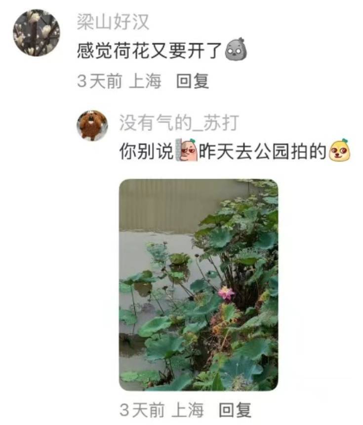 皇冠信用网登123出租_上海:节后气温将冲高至33℃!今夏已长达150天皇冠信用网登123出租,玉兰蔷薇樱花荷花全开了……