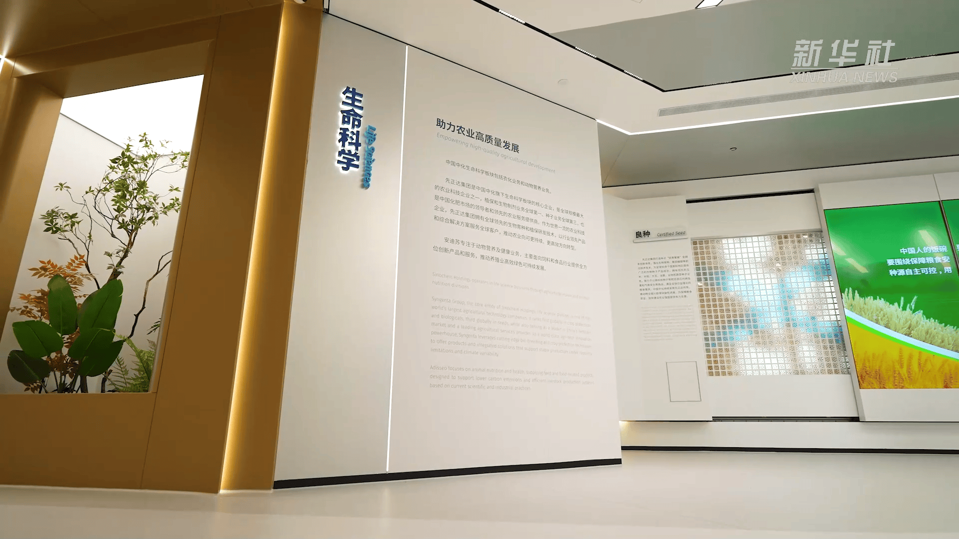 皇冠信用网在线申请_雄安新区已有三家央企总部正式入驻