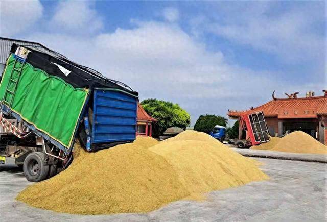 皇冠信用网正网_阿根廷继续卖中国大豆皇冠信用网正网，美国放狠话，我使馆回应亮了：美方管不着