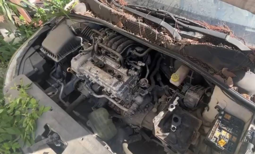 皇冠信用网平台出租
_浙江男子把私家车停路边两年皇冠信用网平台出租
,一次也没去看过!如今要用车时傻眼:还能这样?