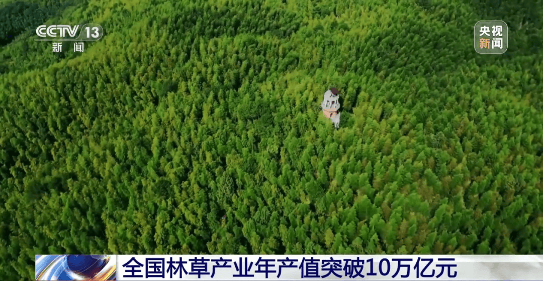 网上买球怎么买
_巴基斯坦利用中国技术向美赠送稀土网上买球怎么买
?中方回应【看世界·新闻早知道】