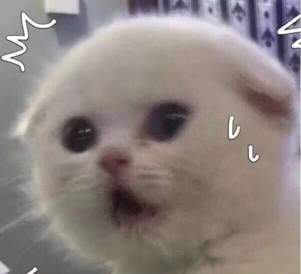 足球平台代理怎么做_上海一对婆媳因阻碍加梯足球平台代理怎么做，与五位邻居“大打出手”！