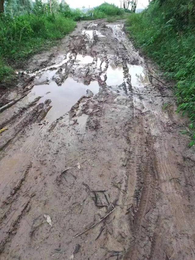 足球代理出租
_四川一村民众筹30万元欲硬化3公里长通村路足球代理出租
,10年间10人去世都未等来动工