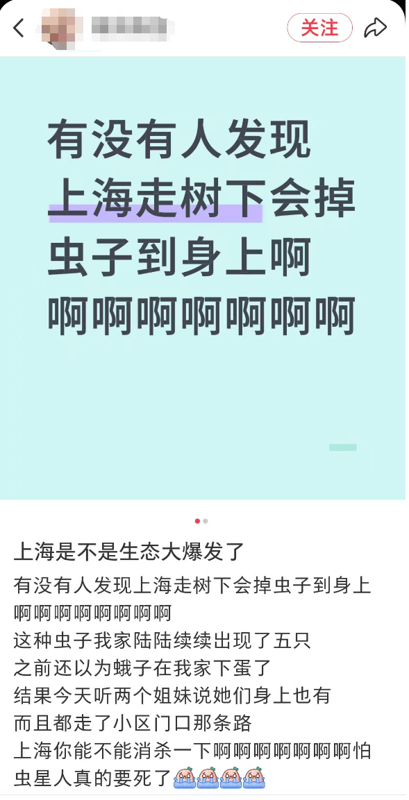 皇冠会员如何申请
_汽车被虫子啃得都是窟窿皇冠会员如何申请
,“一边咬一边往里钻”!很多人中招