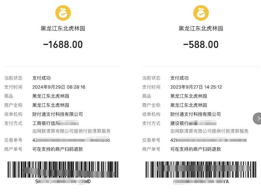 皇冠信用盘开户_女子花2000余元认养东北虎2年却被隐瞒死讯 当事人称园方未主动反馈情况皇冠信用盘开户，认为死因存疑