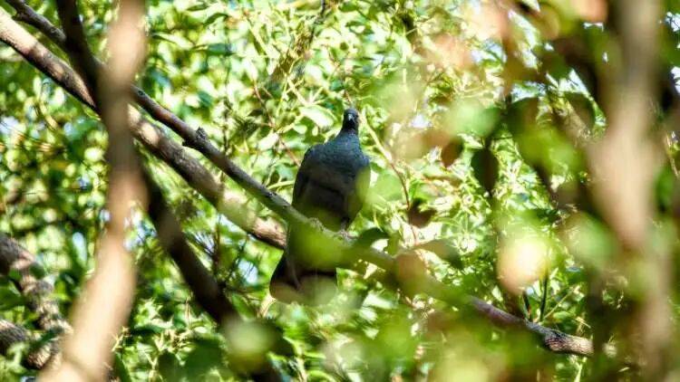 如何代理皇冠信用盘
_百年罕见!首次在上海被目击如何代理皇冠信用盘
,有人专门从北京“打飞的”赶来