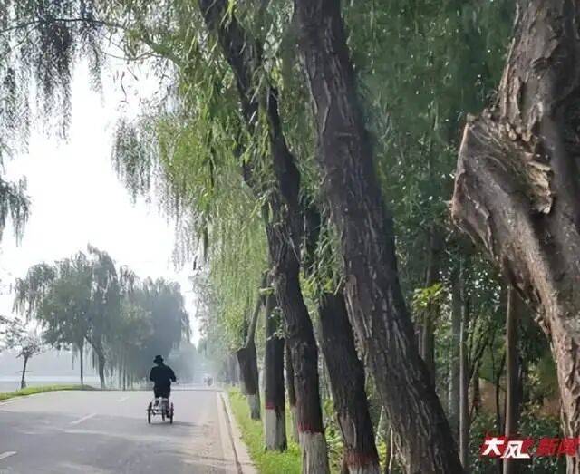 皇冠信用盘怎么弄
_陕西兴平56岁女教师骑电动车“撞树枝”身亡皇冠信用盘怎么弄
,交警判定担主责,家属提出诸多质疑,多方回应