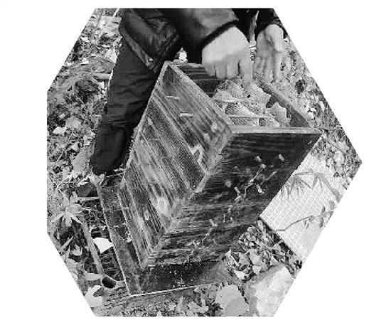 奥地利足球世界杯
_两派蜜蜂打群架奥地利足球世界杯
,伤亡惨重 民警:别打了,赔钱赔蜂蜜