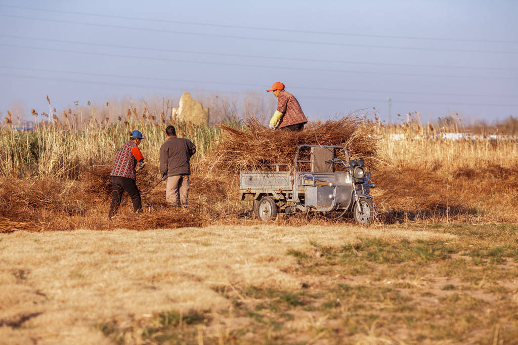 皇冠hga035怎么注册账号_女儿乳腺癌手术父亲拒借钱 称财产留给儿子