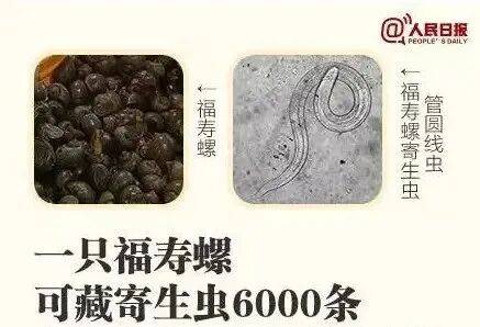 皇冠信用网登123出租_别吃!寄生虫多达6000条皇冠信用网登123出租,近期正大量出现,严重可致死